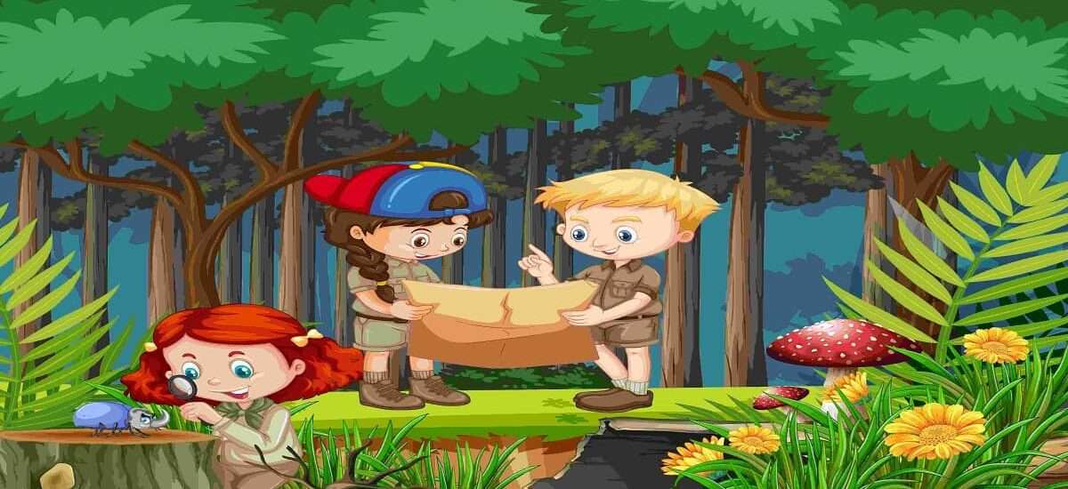 Visit Redwood National Park with kids
