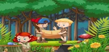 Visit Redwood National Park with kids