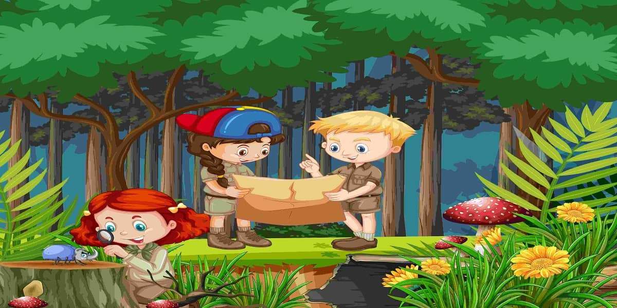 Visit Redwood National Park with kids