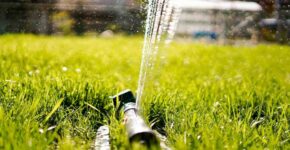 Backyard Upgrades That Add Real Value: Smart Improvements That Transform Outdoor Living